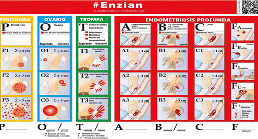 Interfaz de usuario gráfica, Aplicación, Calendario

Descripción generada automáticamente