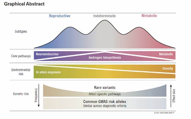 Gráfico

Descripción generada automáticamente con confianza media